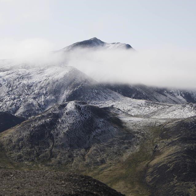 Climate change could leave Yukon plants with nowhere to go: study
